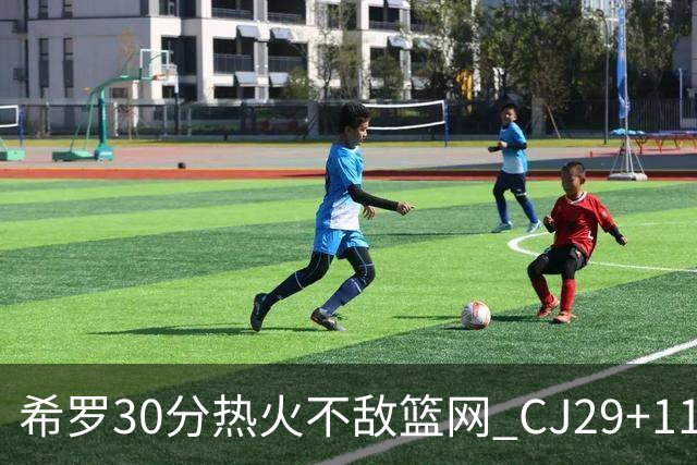 希罗30分热火不敌篮网 CJ29+11鹈鹕逆转雷霆